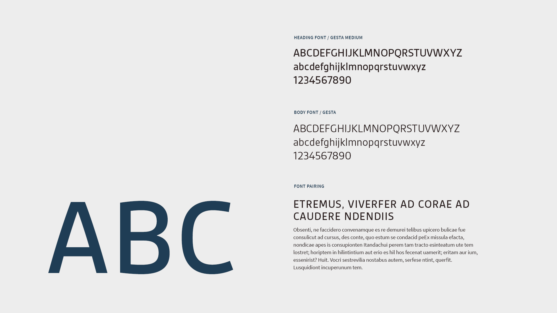 Dental PX Portfolio Rollout5