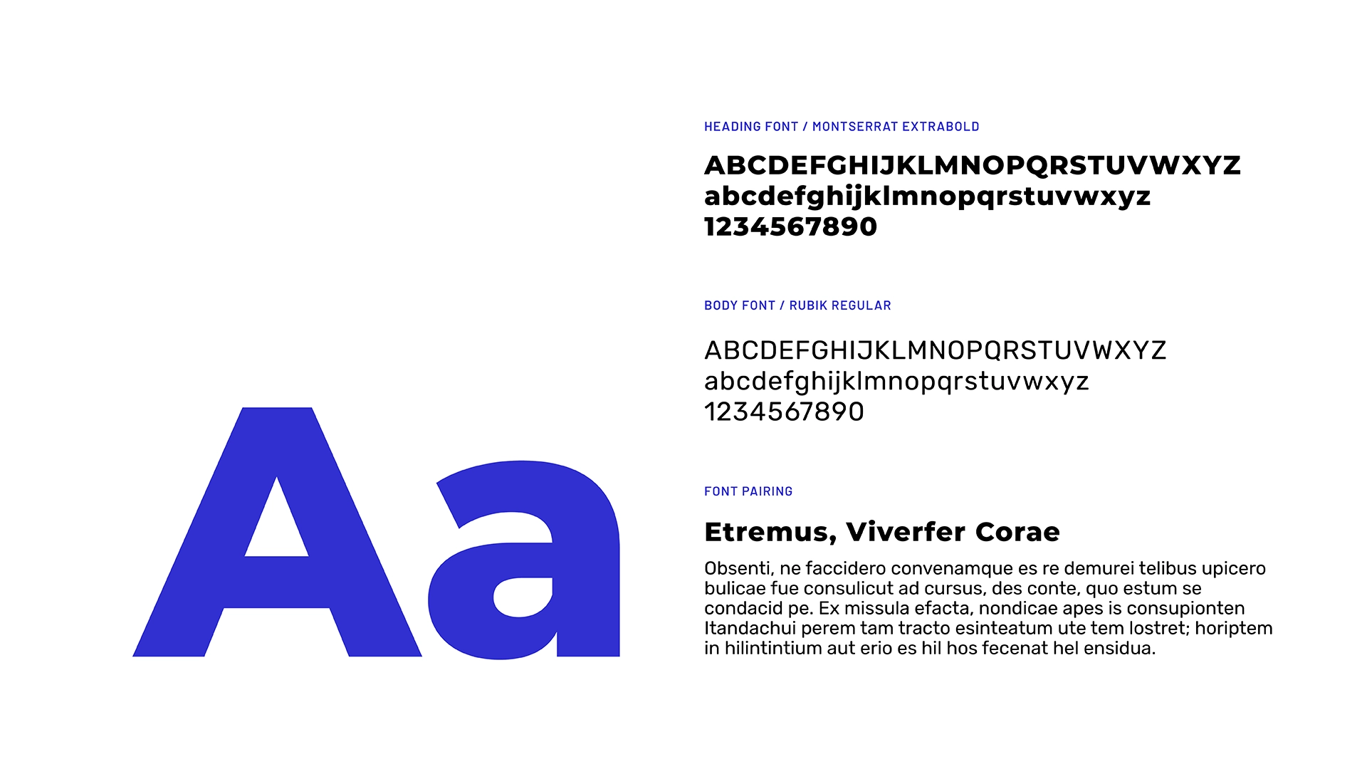 ANZSPD Sydney 2026 Portfolio rollout6