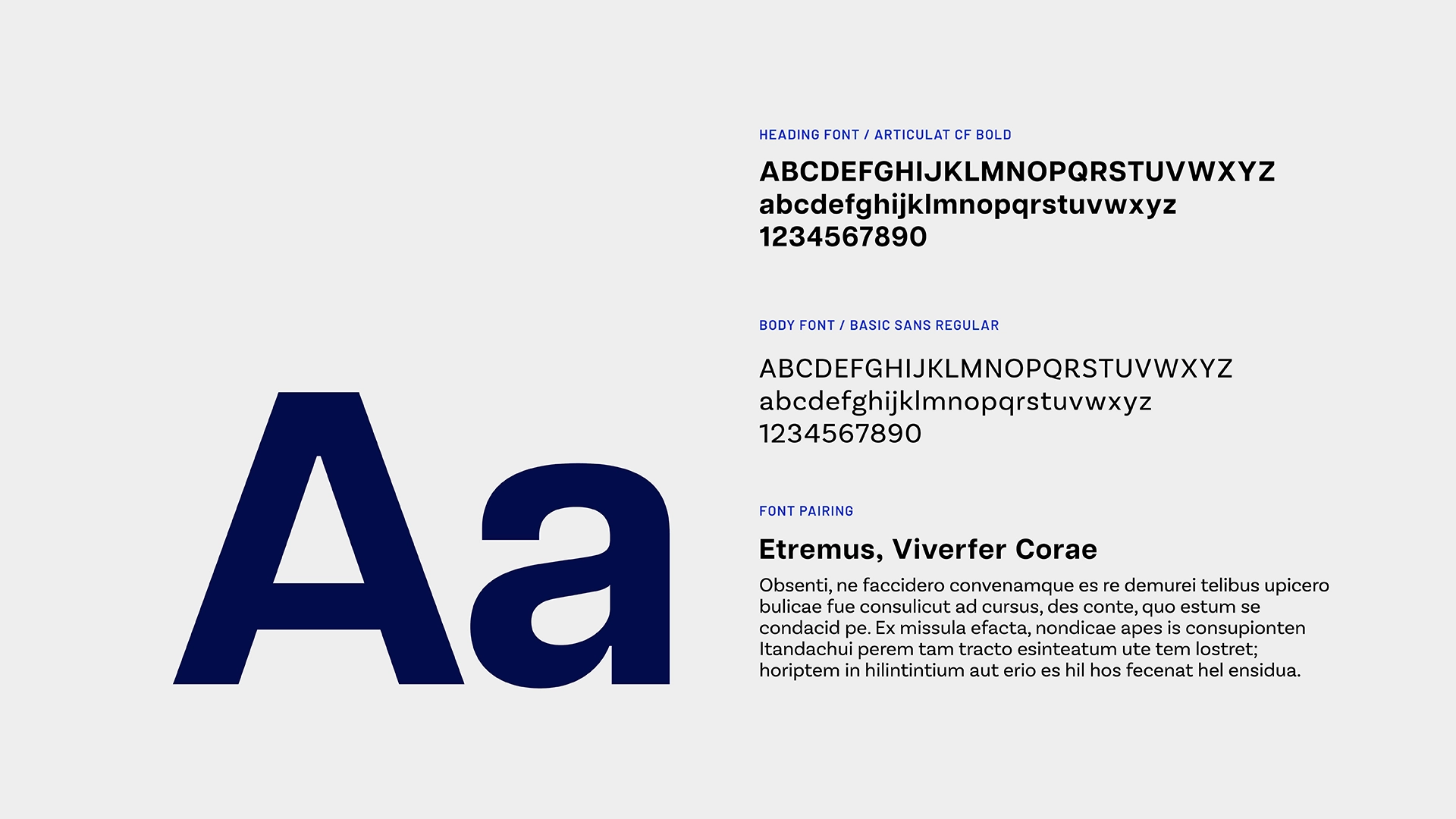 Northern Beach Paediatric Dentistry Portfolio rollout5