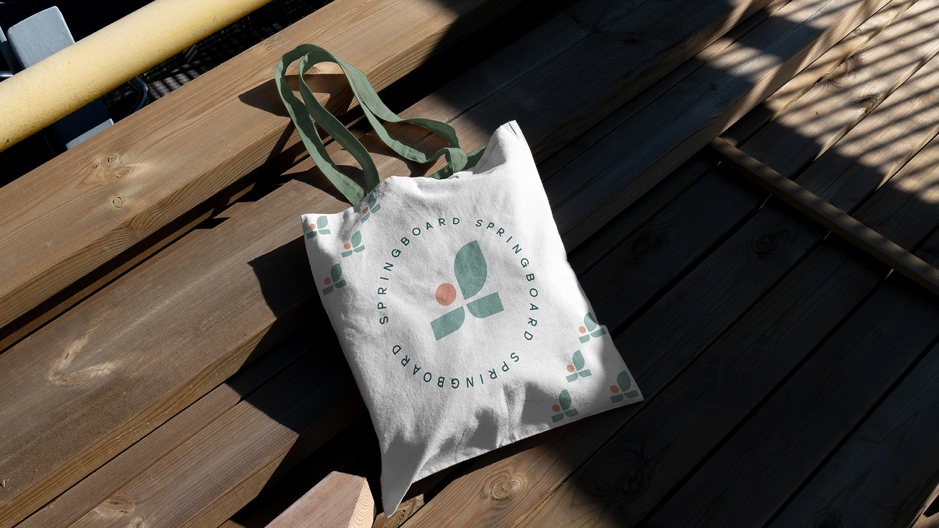 Springboard Portfolio rollout10