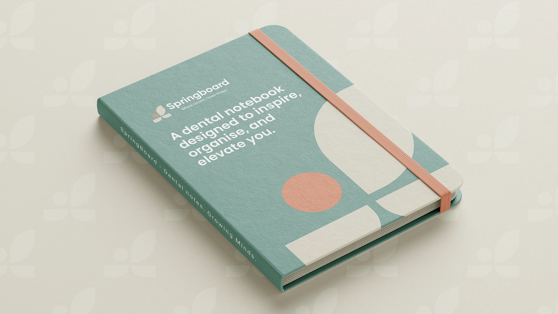 Springboard Portfolio rollout11