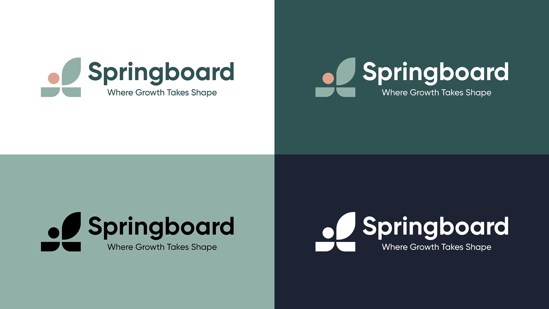 Springboard - Novu Creative