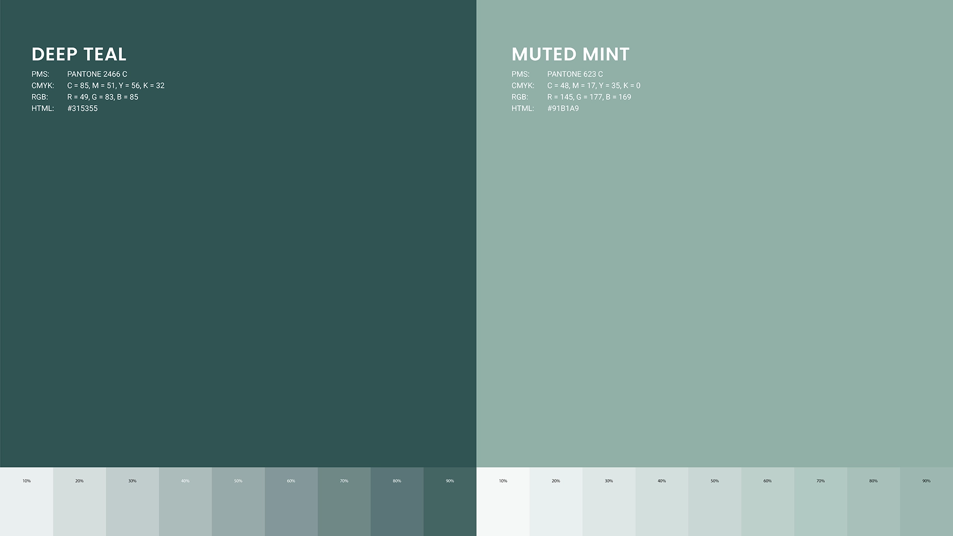 Springboard Portfolio rollout4