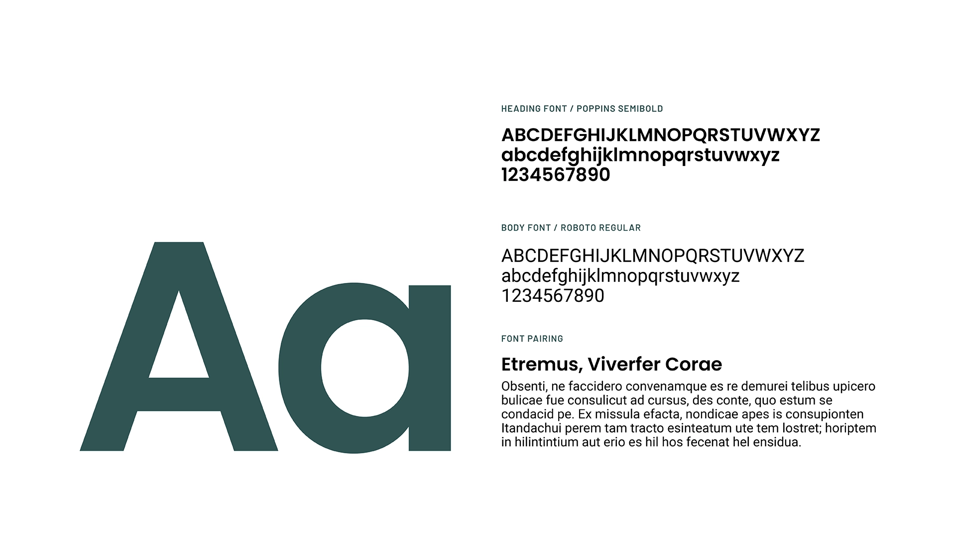 Springboard Portfolio rollout6