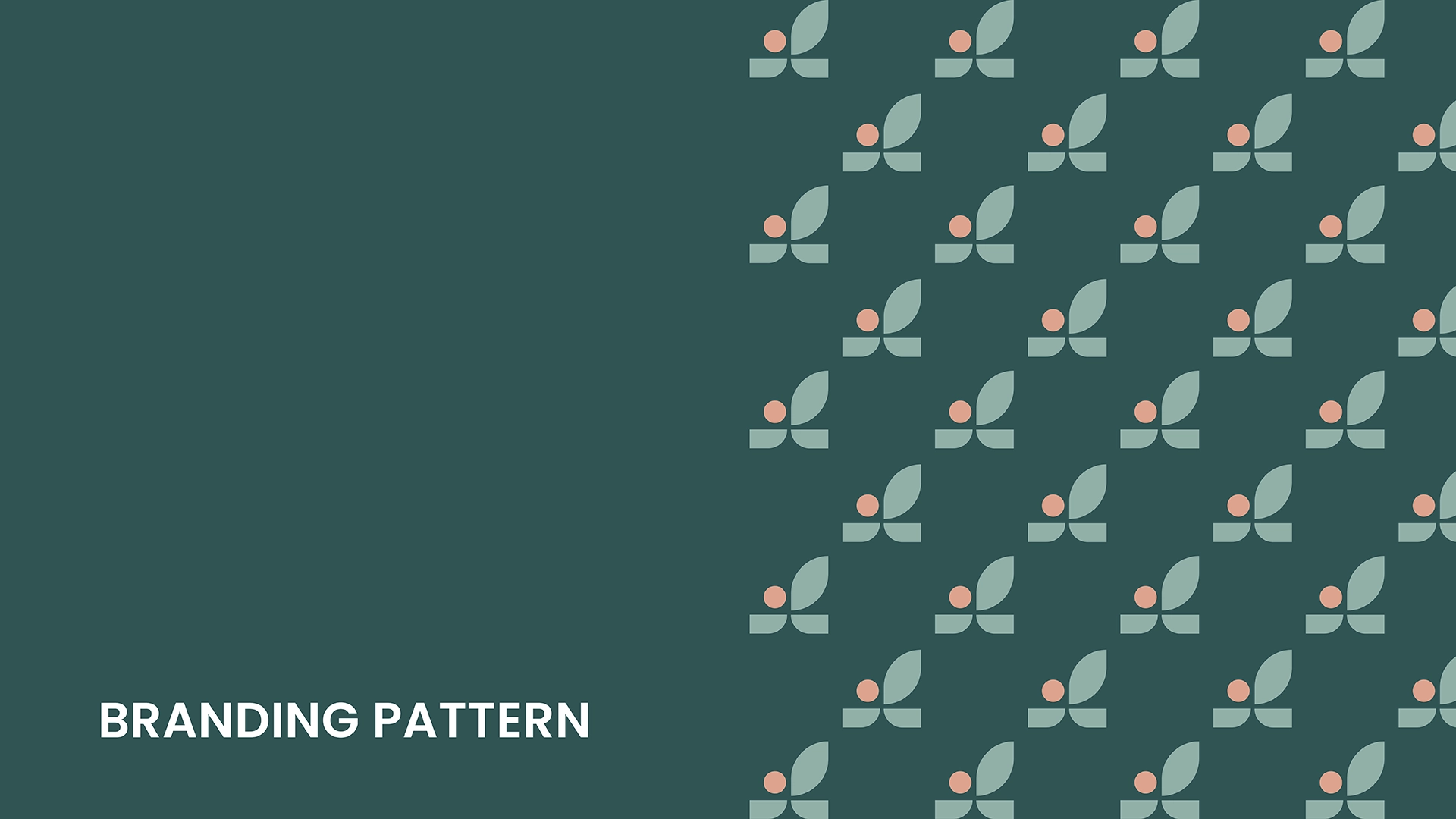 Springboard Portfolio rollout7