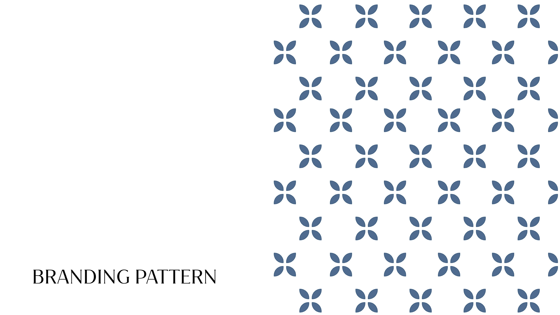 The Health Whisperer Portfolio rollout6