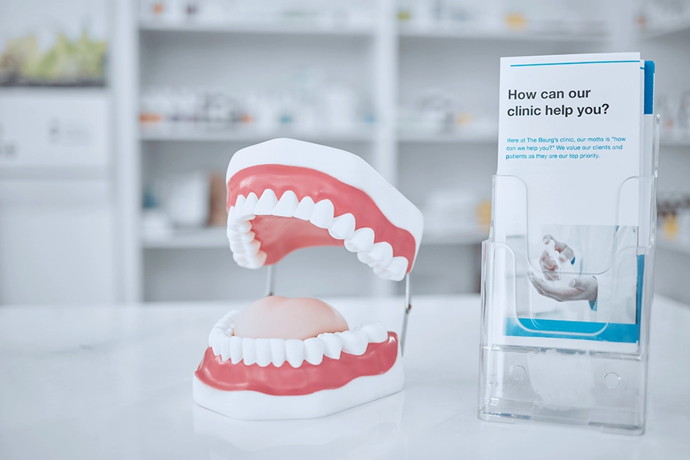 dental healthcare and model of teeth in clinic fo 2026 03 25 03 02 29 utc